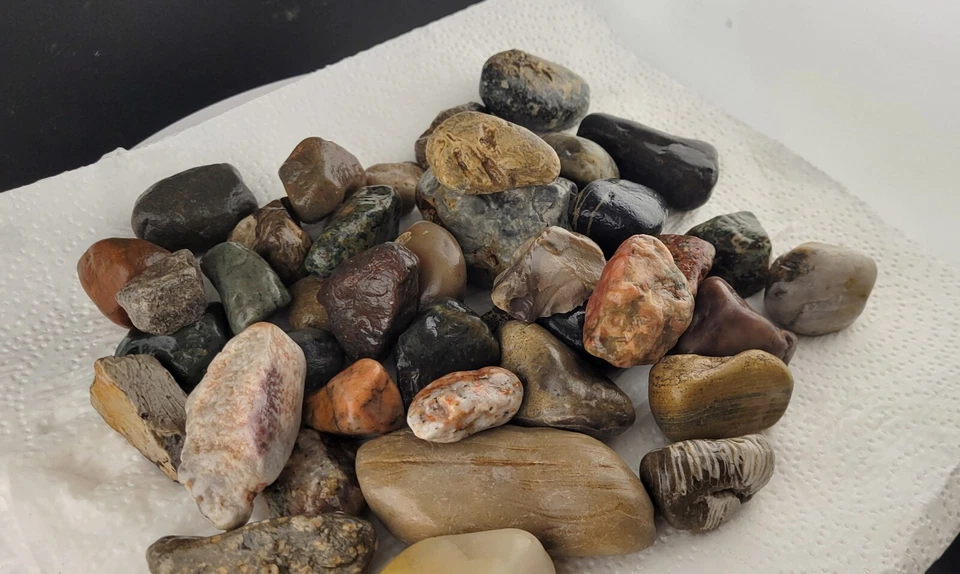 Смесь окаменелостей и агата для аквариума с рыбками гравий в ассортименте 3 фунта - Изображение 4 из 4