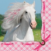 Heart My Horse Luncheon Napkin (16) Birthday Party Supplies, New, Free Shipping on sale Heart My Horse Luncheon Napkin (16) Birthday Party Supplies, New, Free Shipping on sale