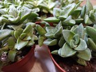 Foto 8 di 10