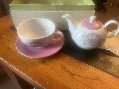 Delton Porcelain Tea For One Set Floral Pattern Teapot Cup Saucer with Box