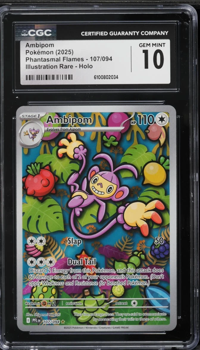 best pokemon tcg booster packs Best Pokmon Booster Boxes to Buy in 2026