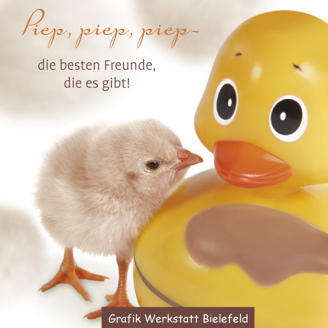 Bild 1 von 1