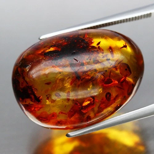15.05ct. Burmite Natural Golden Egg Unique Plant&Leaf Amber Dinosaur Age Fossil