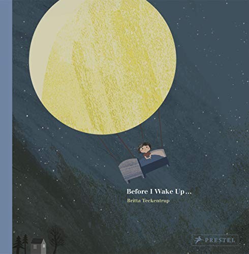 Before I Wake Up...: by Britta Teckentrup-Britta Teckentrup