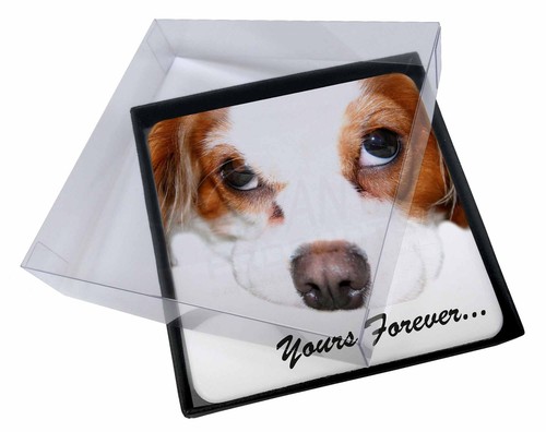 4x Cavalier King Charles 'Yours Forever' Picture Table Coasters Set i, ADSKC57C 4x Cavalier King Charles 'Yours Forever' Picture Table Coasters Set i, ADSKC57C