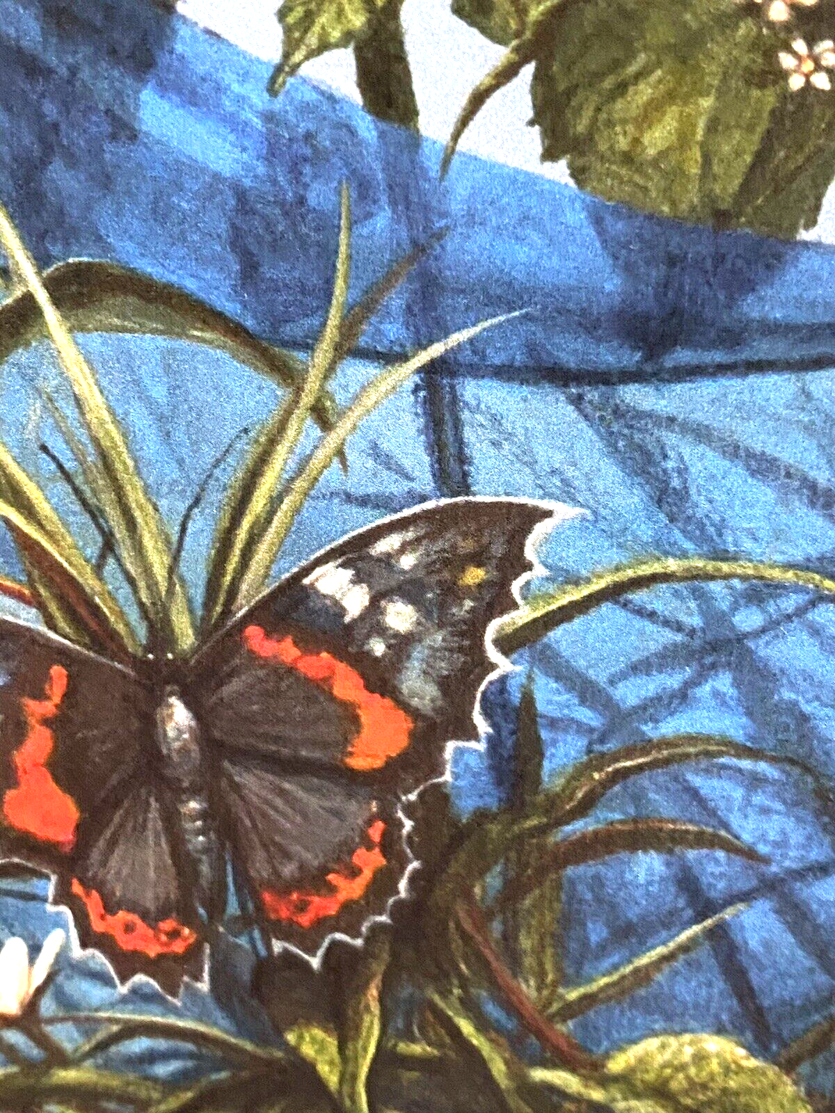 Picture 6 of 15