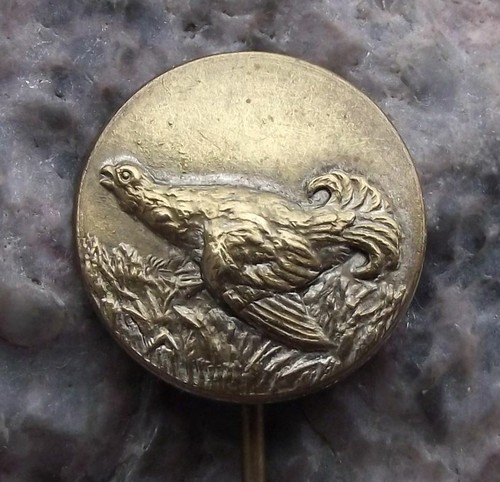 Vintage Giant Grouse Capercaille Czech Hunting Association Game Bird Pin Badge - Picture 3 of 10
