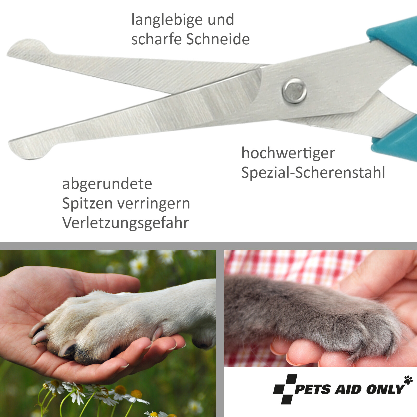 Bild 3 von 5