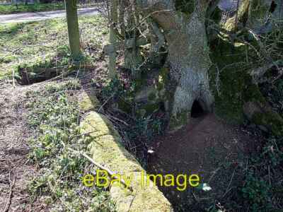 Foto 6x4 Tiernachweise ! Sheeplane Hier sind zwei Löcher (Eines zum c2007