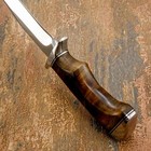 Model # 7735 Impact Cutlery Custom EDC Skinning Knife with Rosewood | D2 — photo 8