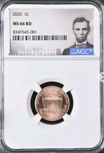 2025 P Lincoln Shield Cent NGC MS66RD [IN HAND]