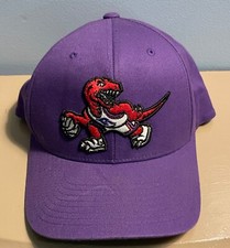 Toronto Raptors NBA Team Hat Mitchell  Ness Purple Snapback One Size OS