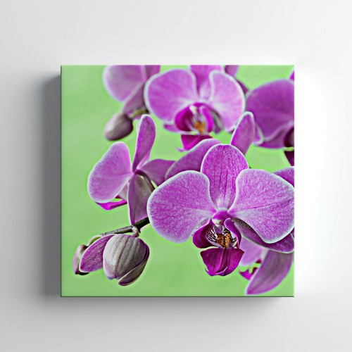 Orchid Flowers Canvas Print Wall Art, Stylish Home Decor Wall Hanging - Afbeelding 1 van 12