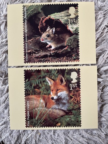 PHQ Card set FDI Back No 268 Woodland Animals 2004. 10 card set Mint Condition - Picture 4 of 7