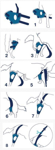 bt balto cruciate knee brace