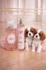 Pink Chiffon Bath  Body Works 8 oz. Fine Fragrance Mist And 10 oz. Body Wash