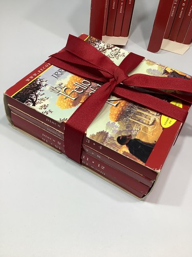 Herr der Ringe Trilogie JRR Tolkien Audio Disc Set bespielte Bücher LESEN - Bild 6 von 13