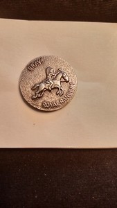 Royal Rangers for merit Brave Hat Lapel Pin RR International