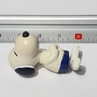 Picture 19 of 19
