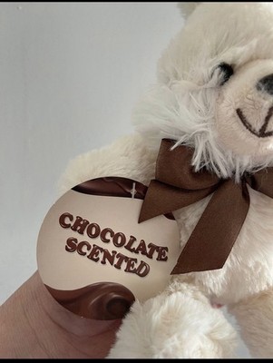 Dan Dee Chocolate Scented Bunny Plush 7
