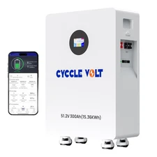 48V 300Ah LiFePO4 Battery 15.36KWh Solar Home Energy Storage - 3 Years Warranty