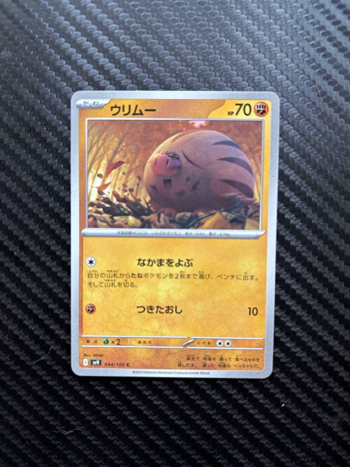 Swinub 44/100 Pokémon Battle Partners Japanese NM Regular Common