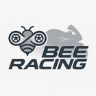 bee-racing-parts