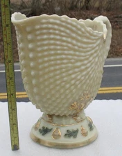 EAPG (N) CUSTARD  "ARGONAUT SHELL"  HANDLED COLLAR  FTD. WATER PITCHER