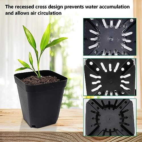 Square Nursery Pots 3" 120Pcs Deep Succulent Plastic Pots Small Flower Planter - Picture 5 of 7