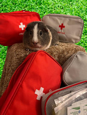Little Critters First Aid Kit