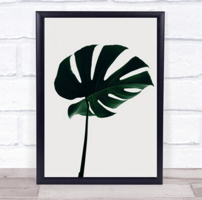 Monstera Natural 10 Studio Botanical Leaf Wandkunstdruck
