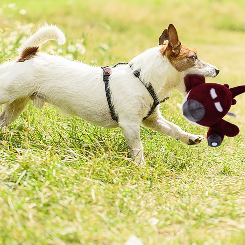 Hund Plüschtier Quietschendes Kauspielzeug Für Hunde Interaktives Haustiere - Bild 5 von 12