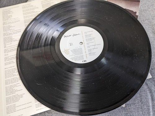 DEACON BLUE WHEN THE WORLD KNOWS YOUR NAME 1st Press Vinyl LP - Imagen 5 de 5