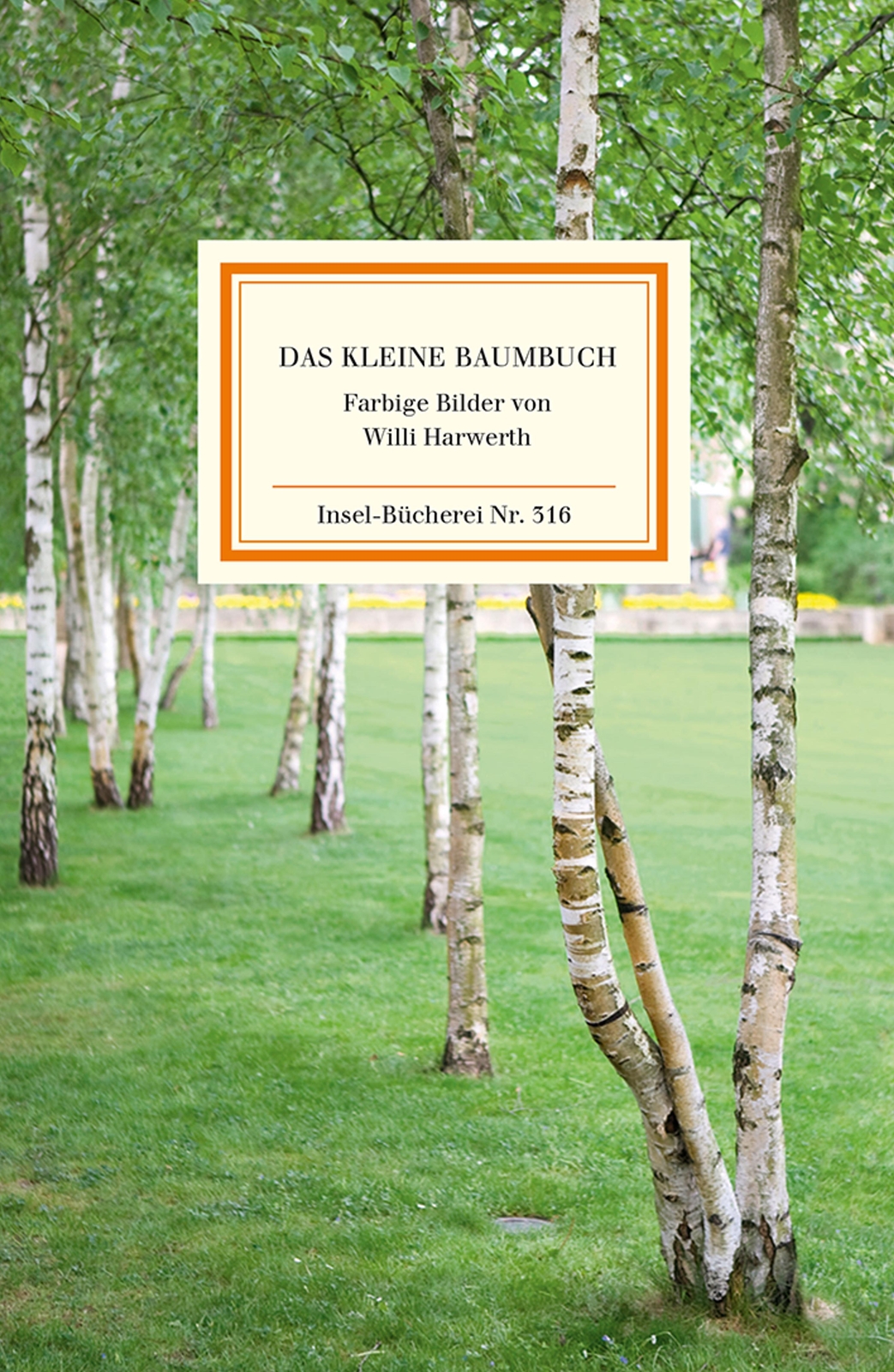 Das Kleine Baumbuch | Die Deutschen Waldbäume | Willi Harwerth | Buch