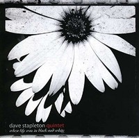 Dave Stapleton Quint - House Always Wins - CD - K4Z