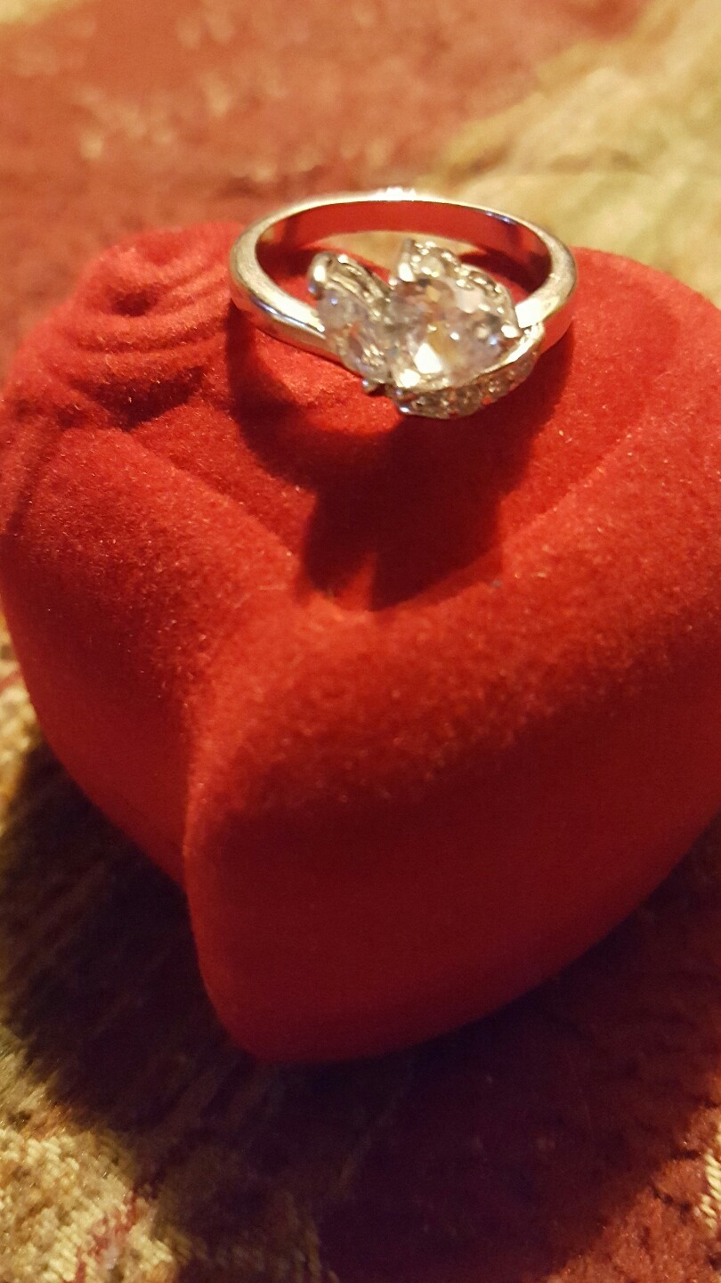 Picture 4 of 12