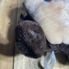Bild 5 von 8