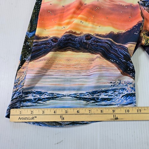 Zootop Bear Men’s 3XL Swim Shorts Bass Fishing scene Lined - Picture 4 of 12
