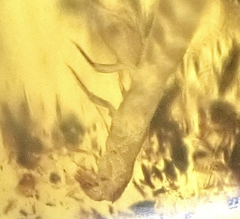 Picture 14 of 16