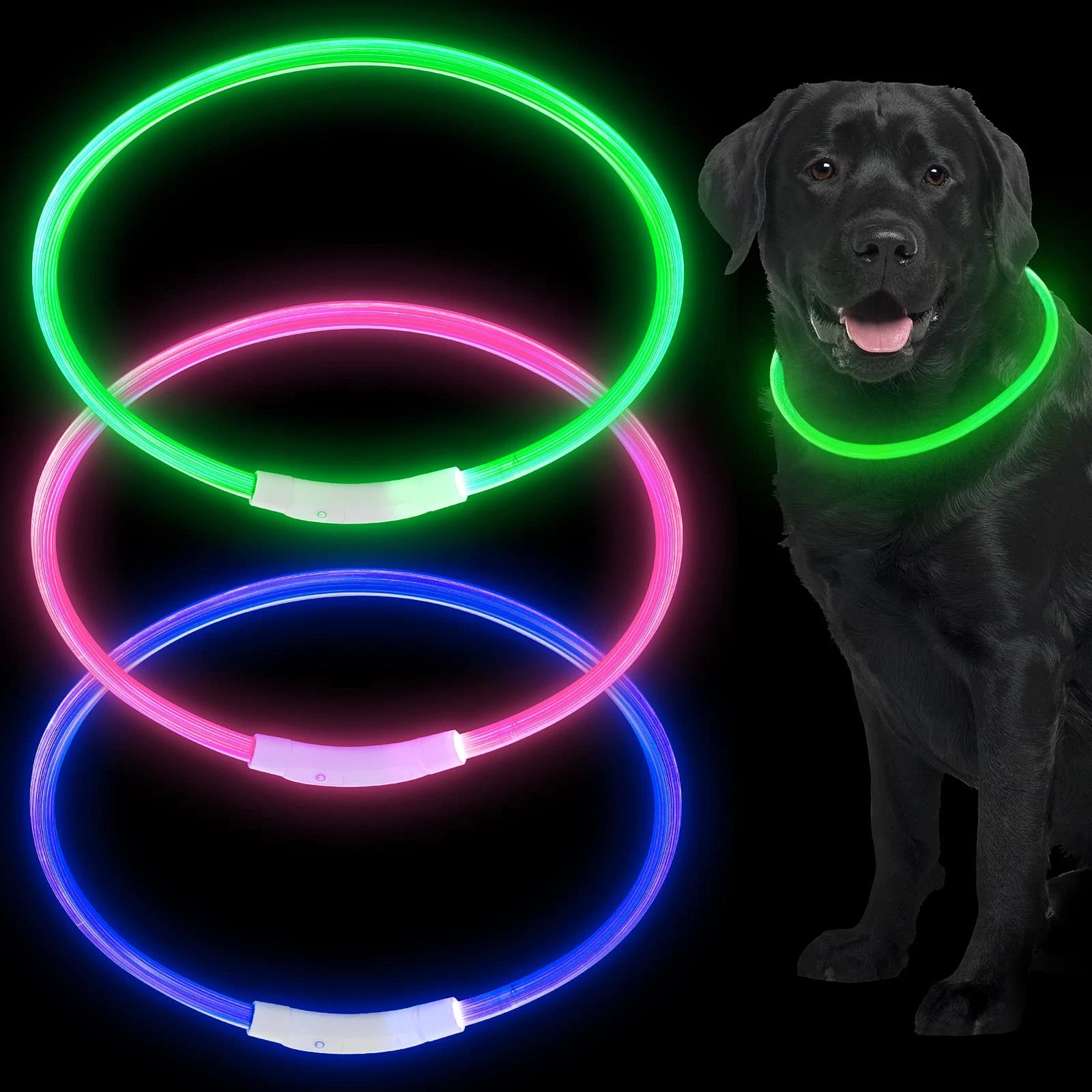 3 Pcs Light up Dog Collars LED USB Rechargeable Dog Collar for Night Walking ...