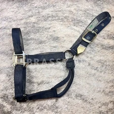 Hamilton Pony/Yearling Halter