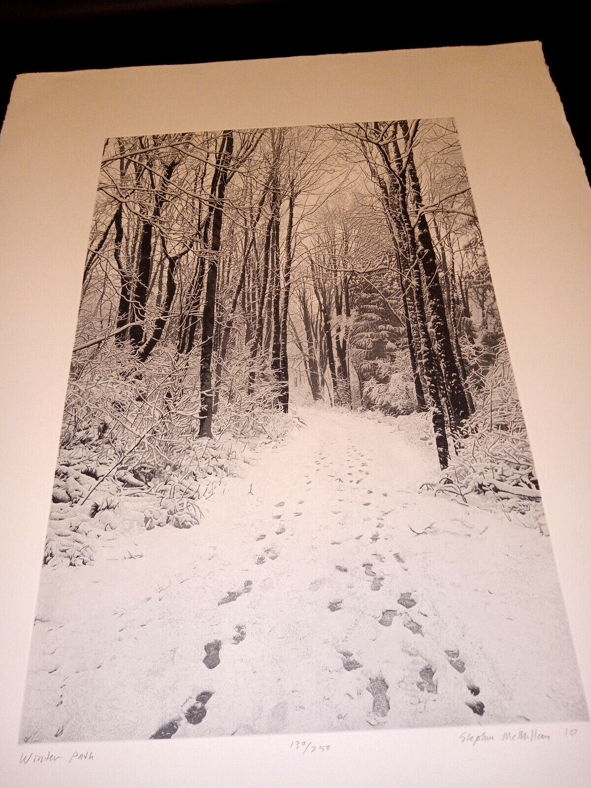 Picture 2 of 8