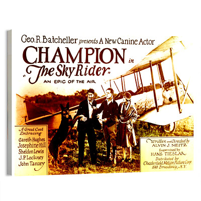 1928 The Sky Rider (Chesterfield)  Movie Poster or Canvas Art Print