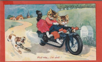 CPA - HUMANISIERTE KATZEN - SCHNELLER ...  ICH HABE ANGST - HUND - MOTORRAD