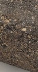 Bild 17 von 19