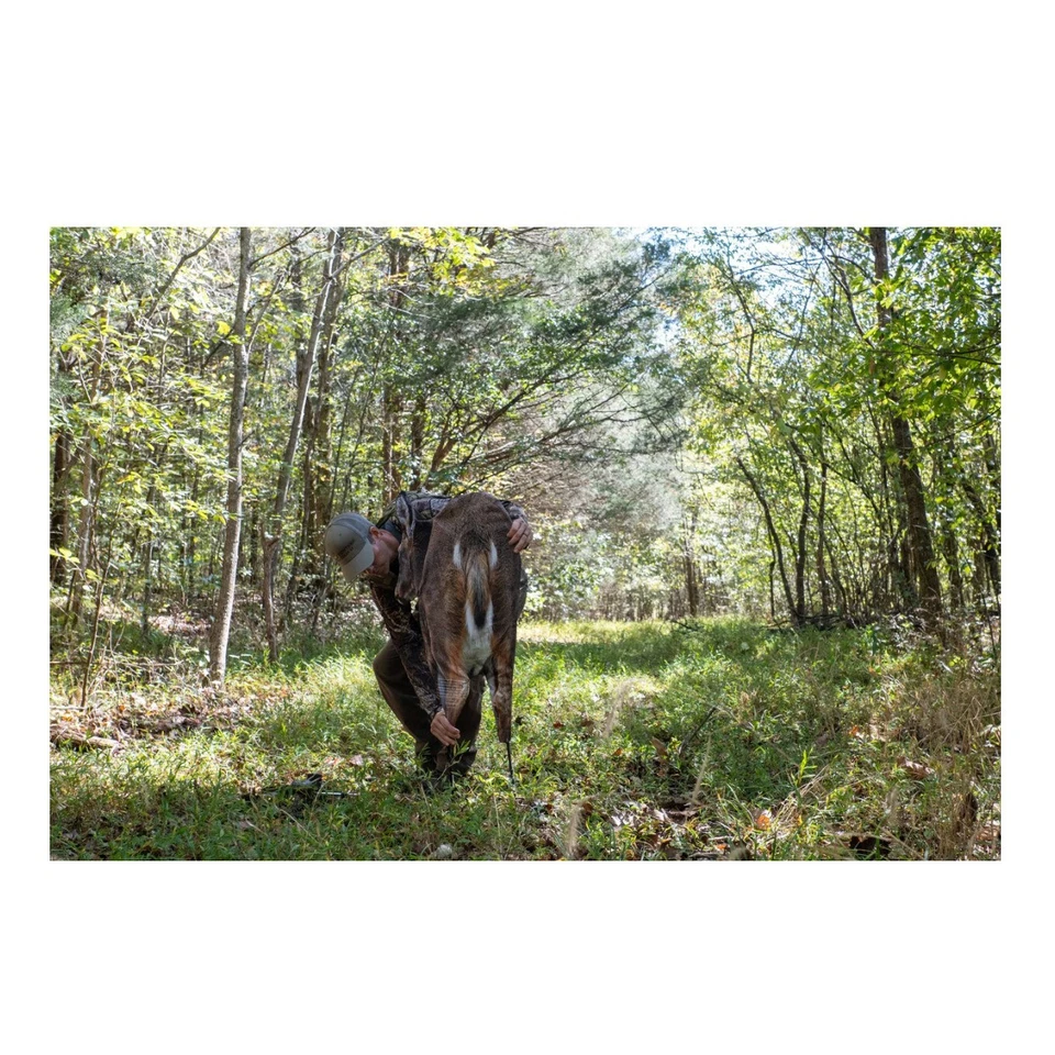 Señuelo Montana grupa de ciervo cola blanca señuelo de caza ligero y plegable Foto 2 de 4