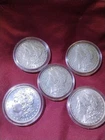 5 Lot of 1886 Morgan Silver Dollars