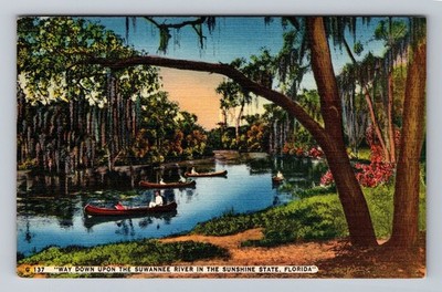 Way Down Upon The Suwannee River In The Sunshine State Florida Vintage Postcard