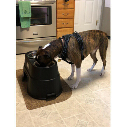 3 Sizes Elevated Station Metal Dog Bowl & Pet Feeder Reduces Joint Stress - Picture 23 of 29