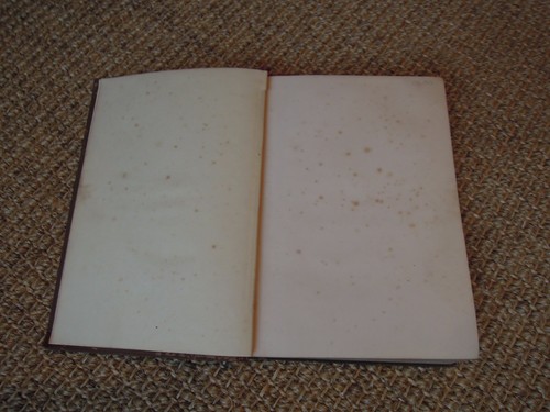 The Government Class Book, A. W. Young, 1890, Vintage, Law - Imagen 4 de 10